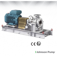 Johnson Pump 重型流程泵，適合化工、煉油廠和一般工業應用